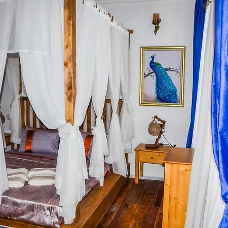 Meltem Hanim Konagi *