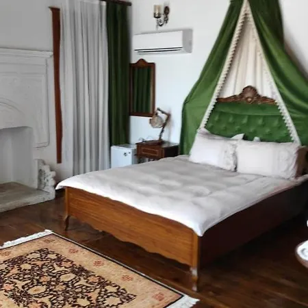 Meltem Hanim Konagi *