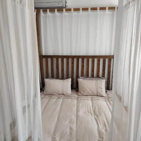 Meltem Hanim Konagi *