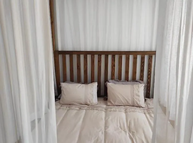 Meltem Hanim Konagi *