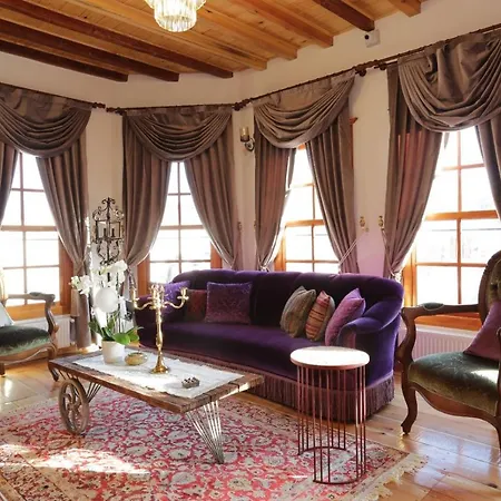 מלון Meltem Hanim Konagi