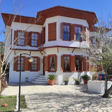 Meltem Hanim Konagi * Ula