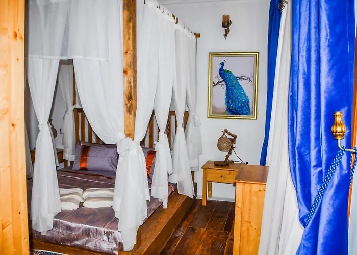 Meltem Hanim Konagi *