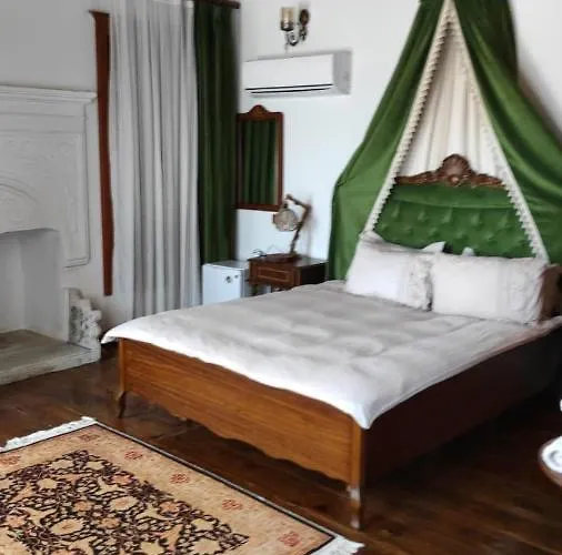 Meltem Hanim Konagi *