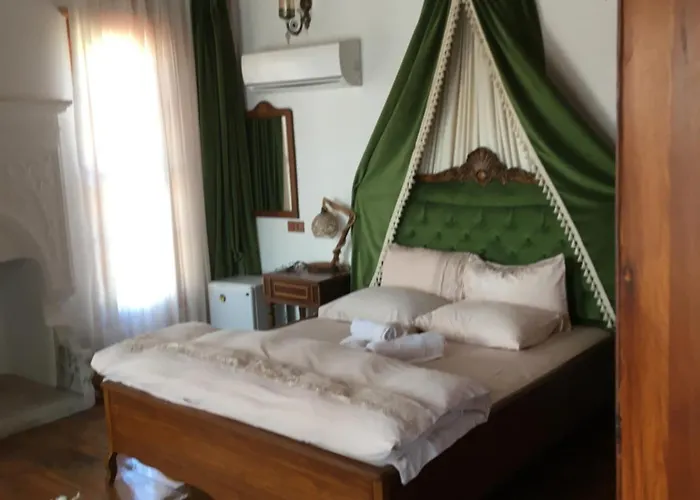 Meltem Hanim Konagi *